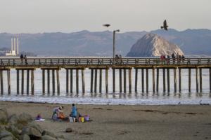 Don Kelsen/Los Angeles Times/TNS