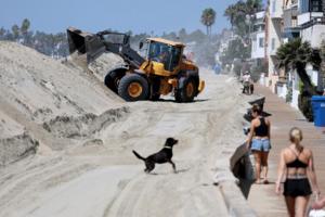 Allen J. Schaben/Los Angeles Times/TNS