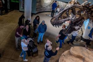 Tom Gralish/The Philadelphia Inquirer/TNS