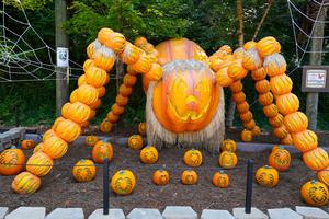 Harvest Festival at Dollywood.