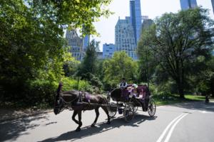 Barry Williams/New York Daily News/TNS