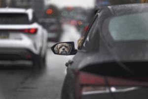 Jose F. Moreno/The Philadelphia Inquirer/TNS