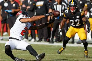 Jefferee Woo/Tampa Bay Times/TNS