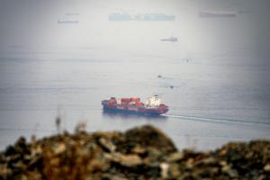 AFP/Getty Images North America/TNS