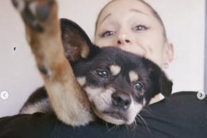 Bang Showbiz / Ariana Grande mourns death of dog Coco