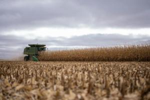 Alex Kormann/The Minnesota Star Tribune/TNS