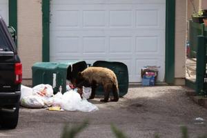 Colorado Parks and Wildlife/TNS