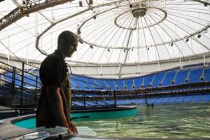Dirk Shadd/Tampa Bay Times/TNS