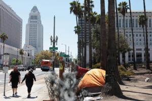 Christina House/Los Angeles Times/TNS