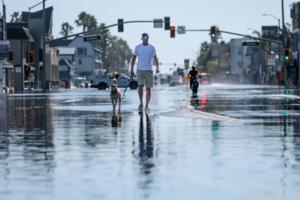 Robert Gauthier/Los Angeles Times/TNS