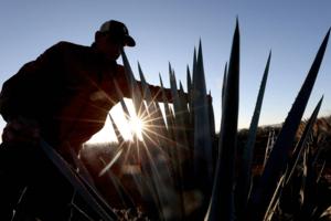 Ulises Ruiz/Getty Images North America/TNS