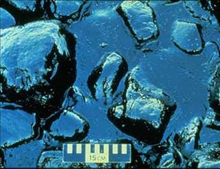 Oil spill