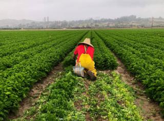 Melissa Montalvo/The Fresno Bee/TNS
