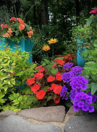 Norman Winter/Norman Winter/TNS