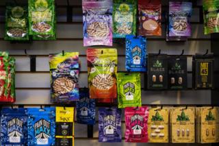 Katy Kildee/The Detroit News/TNS