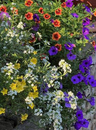 Norman Winter/Norman Winter/TNS