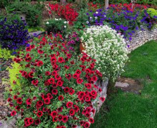 Norman Winter/Norman Winter/TNS