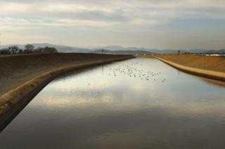 Carolyn Cole/Los Angeles Times/TNS