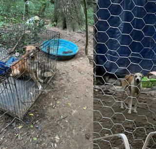 GDA Communications/Georgia Department of Agriculture/TNS