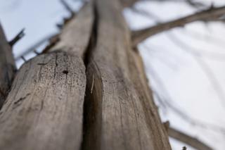 Timothy Hurst/The Denver Post/TNS