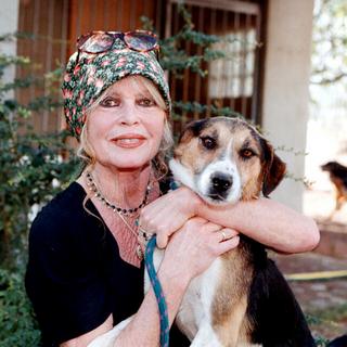 Bang Showbiz / Brigitte Bardot has died.