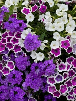 Norman Winter/Norman Winter/TNS