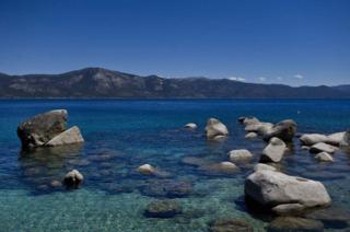 Lezlie Sterling/The Sacramento Bee/TNS