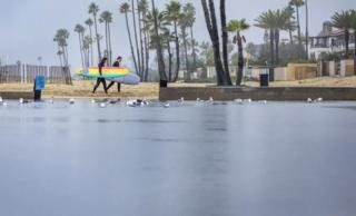 Allen J. Schaben/Los Angeles Times/TNS