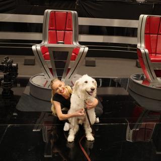 Bang Showbiz / Kelsea Ballerini and Dibs on the set of The Voice / © Instagram