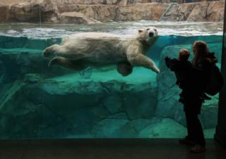 Stacey Wescott/Chicago Tribune/TNS