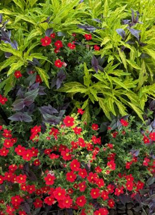 Norman Winter/Norman Winter/TNS