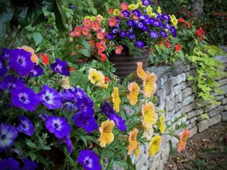 Norman Winter/Norman Winter/TNS