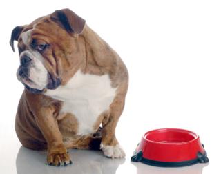 Willeecole/Dreamstime/TNS