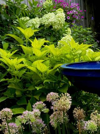 Norman Winter/Norman Winter/TNS