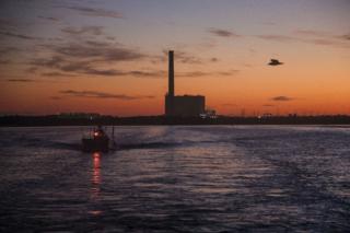 Douglas R. Clifford/Tampa Bay Times/TNS