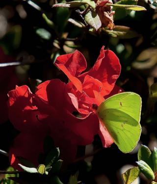 Norman Winter/Norman Winter/TNS