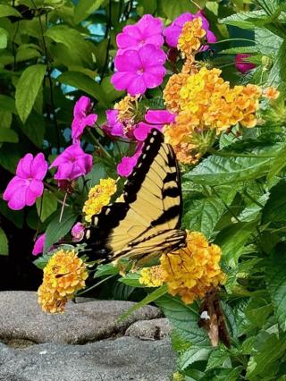 Norman Winter/Norman Winter/TNS