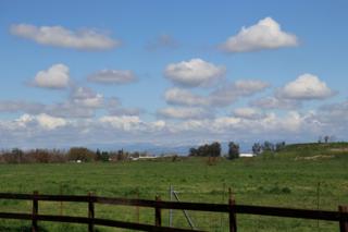 Dreamstime/Dreamstime/TNS